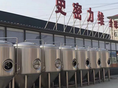 紫金精酿啤酒设备厂—市场规模与跨界新需求